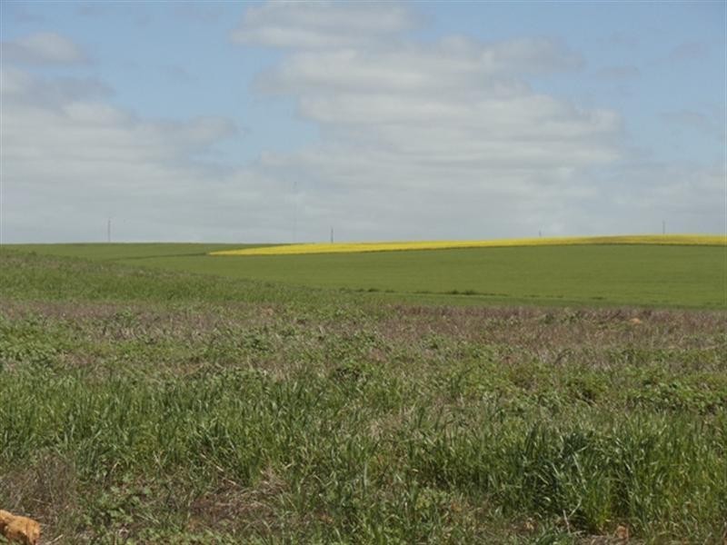 3 Pepper Road, Ardrossan SA 5571