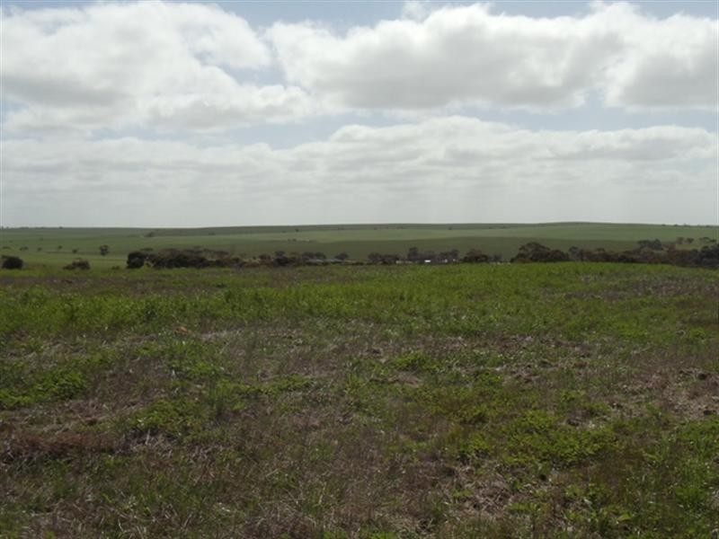 3 Pepper Road, Ardrossan SA 5571