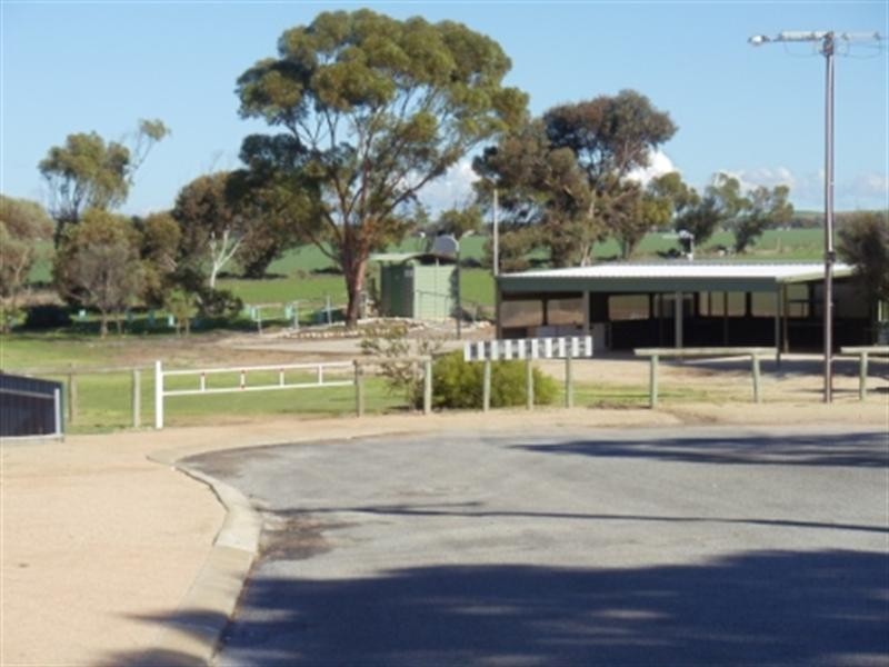 98 Hosking Road, Tiddy Widdy Beach SA 5571