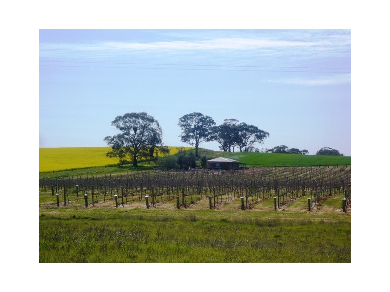 Lot 746 Kelly Road, Auburn SA 5451