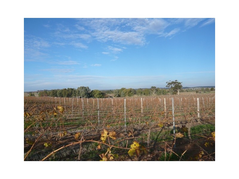 Lot 746 Kelly Road, Auburn SA 5451