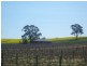 Lot 746 Kelly Road, Auburn SA 5451