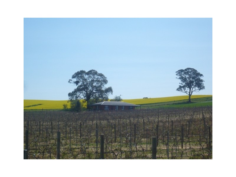 Lot 746 Kelly Road, Auburn SA 5451