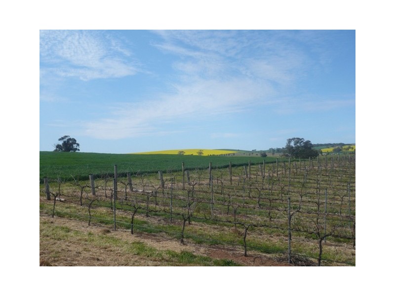 Lot 746 Kelly Road, Auburn SA 5451