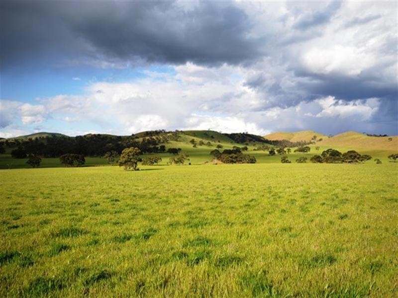 “Toolangie” Barrier Highway, Hallett SA 5419