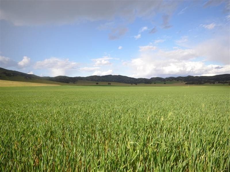 “Toolangie” Barrier Highway, Hallett SA 5419
