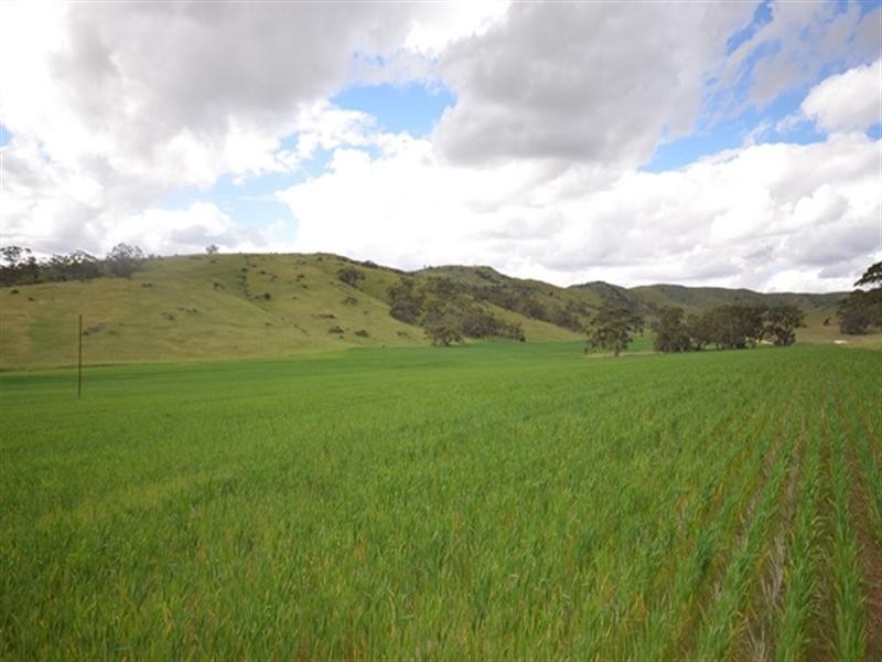 “Toolangie” Barrier Highway, Hallett SA 5419
