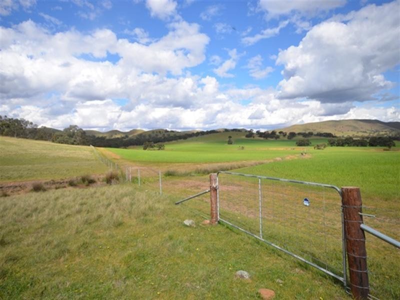 “Toolangie” Barrier Highway, Hallett SA 5419