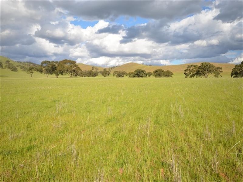 “Toolangie” Barrier Highway, Hallett SA 5419