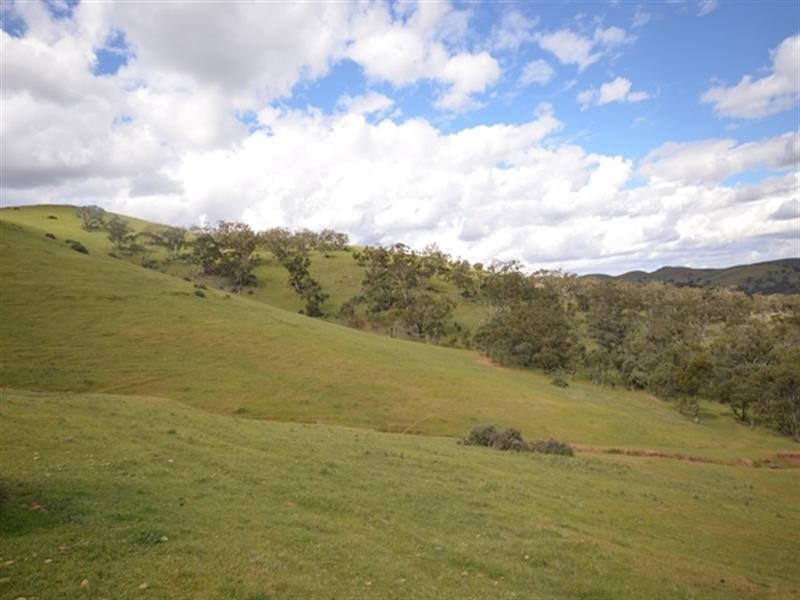 “Toolangie” Barrier Highway, Hallett SA 5419