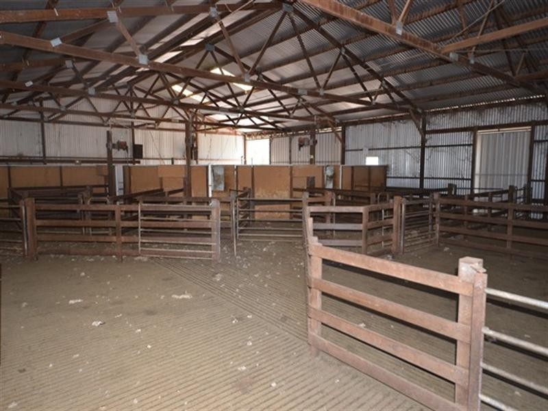 “Toolangie” Barrier Highway, Hallett SA 5419