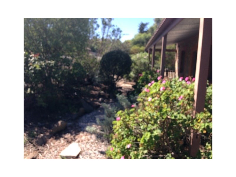 8 Ayers Street, Burra SA 5417