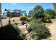 5 Merewether Street, Farrell Flat SA 5416