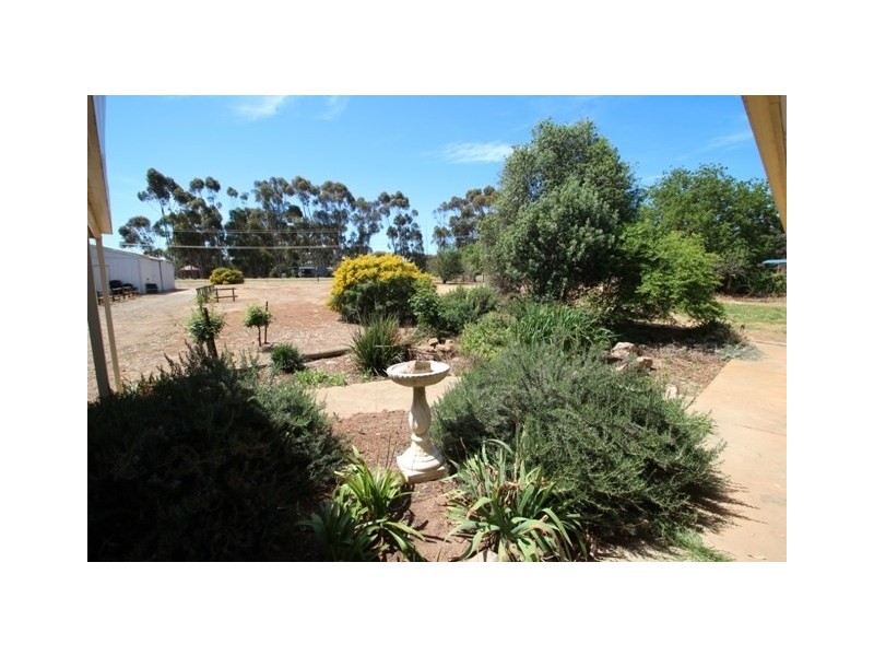 5 Merewether Street, Farrell Flat SA 5416