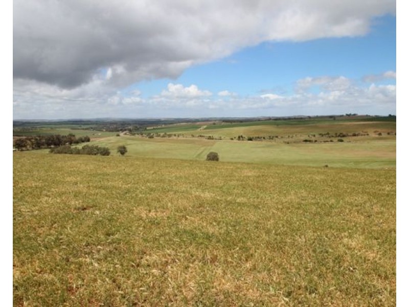 214 & 776 Horrocks Highway, Auburn SA 5451