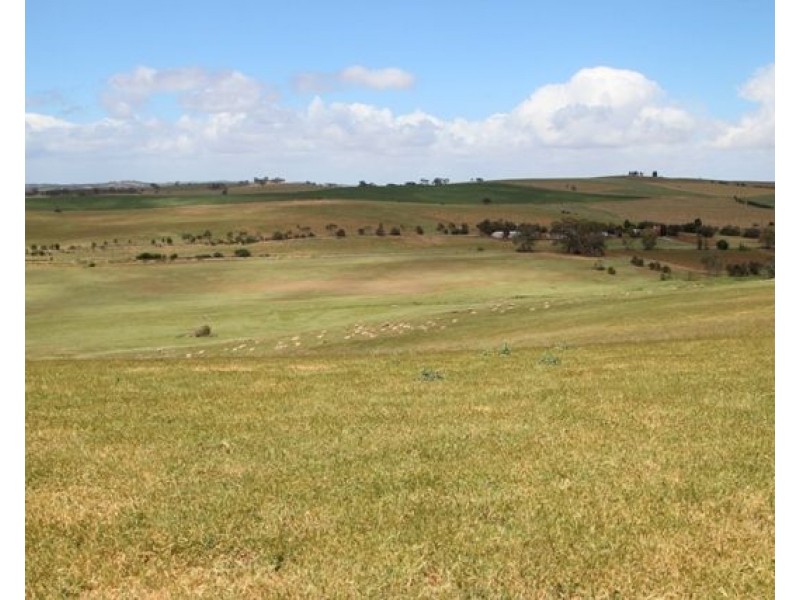 214 & 776 Horrocks Highway, Auburn SA 5451