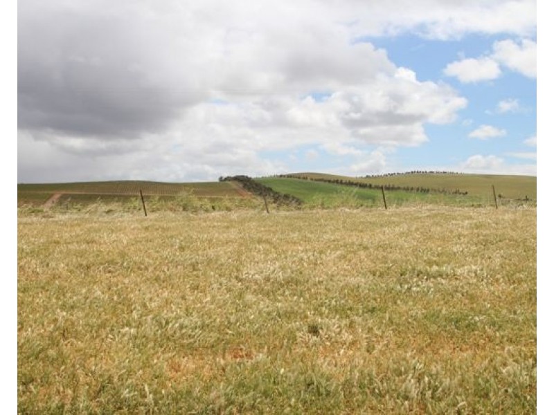 214 & 776 Horrocks Highway, Auburn SA 5451