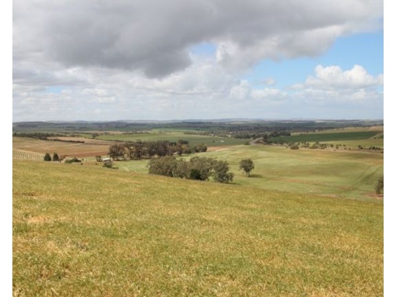 214 & 776 Horrocks Highway, Auburn SA 5451