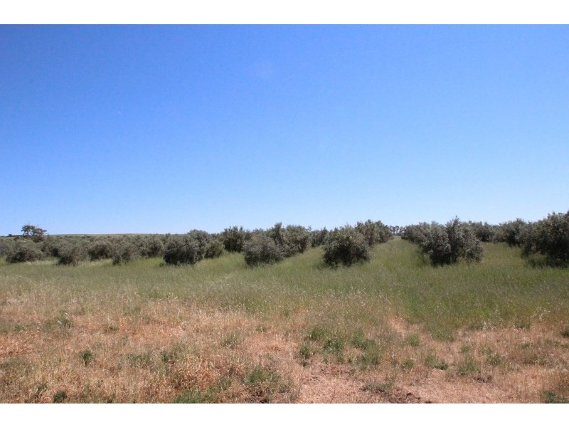Lot 57 Dennis Road, Auburn SA 5451