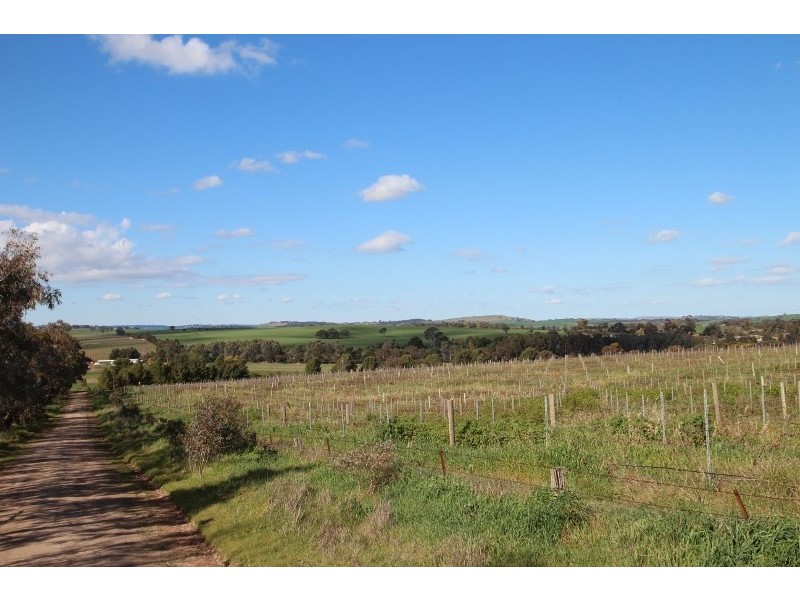 Lot 57 Dennis Road, Auburn SA 5451
