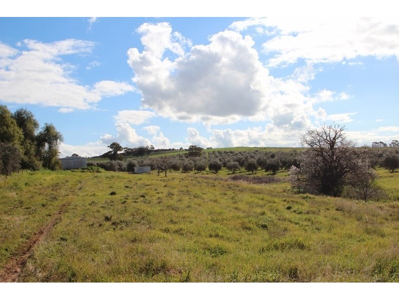Lot 57 Dennis Road, Auburn SA 5451