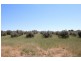 Lot 57 Dennis Road, Auburn SA 5451