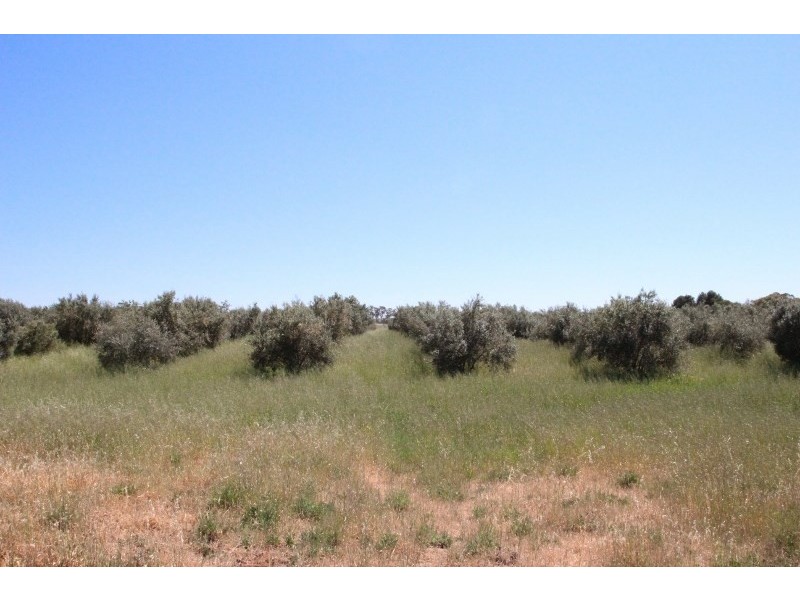Lot 57 Dennis Road, Auburn SA 5451