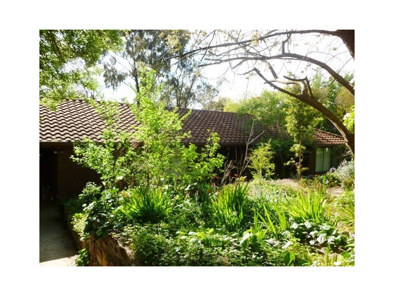 9 Beare Street, Clare SA 5453