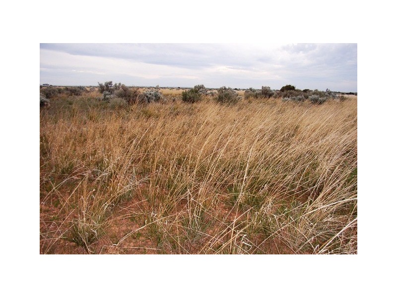 Secs on Pipeline Road, Robertstown SA 5381