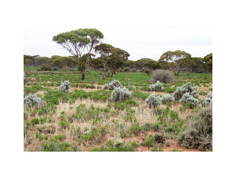 Secs on Pipeline Road, Robertstown SA 5381