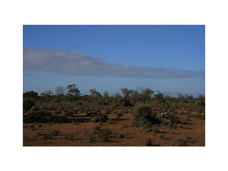 Secs on Pipeline Road, Robertstown SA 5381