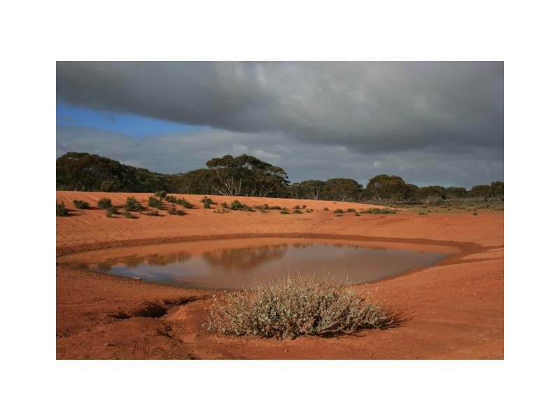 Secs on Pipeline Road, Robertstown SA 5381