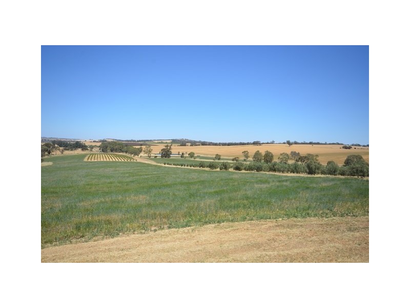 2 Ellery Road, Auburn SA 5451