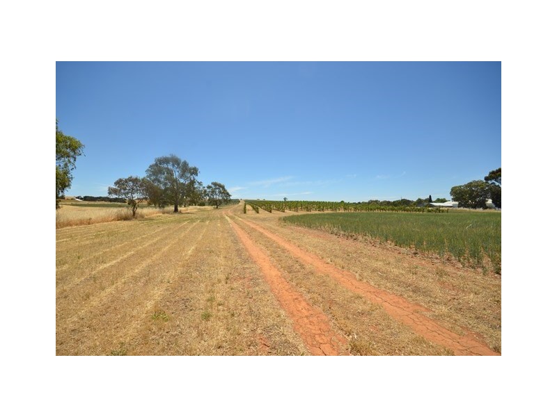 2 Ellery Road, Auburn SA 5451
