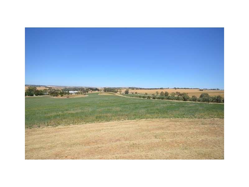 2 Ellery Road, Auburn SA 5451