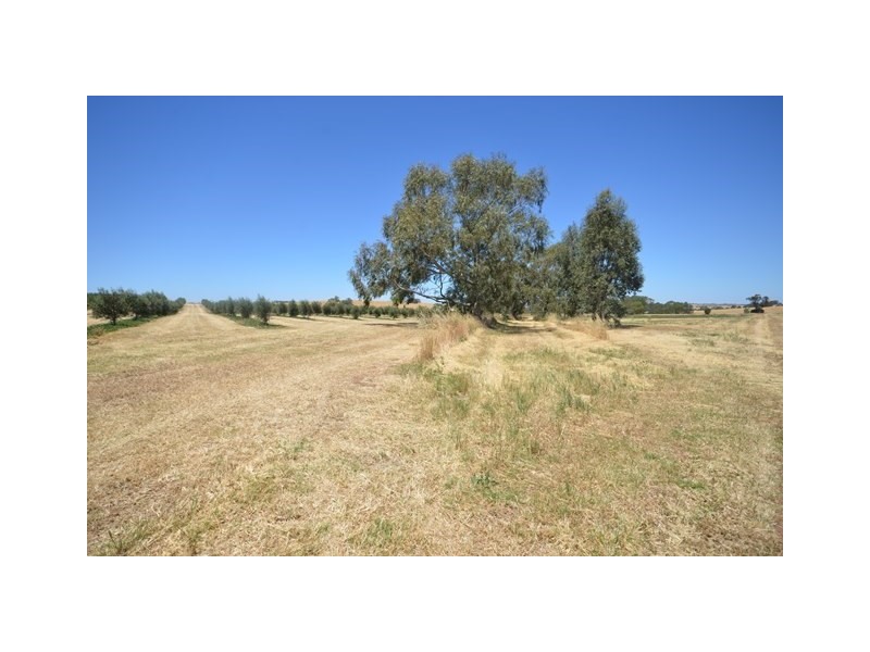 2 Ellery Road, Auburn SA 5451