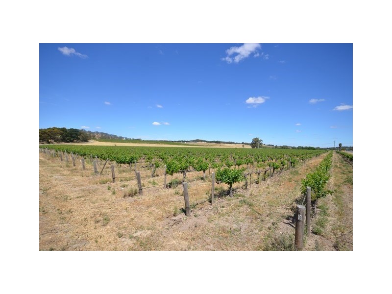 EMERALD Horrocks Highway, Clare SA 5453
