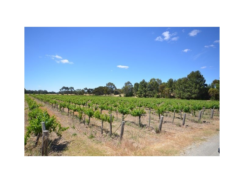 EMERALD Horrocks Highway, Clare SA 5453