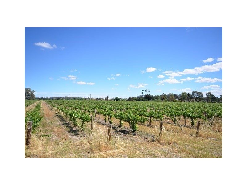EMERALD Horrocks Highway, Clare SA 5453