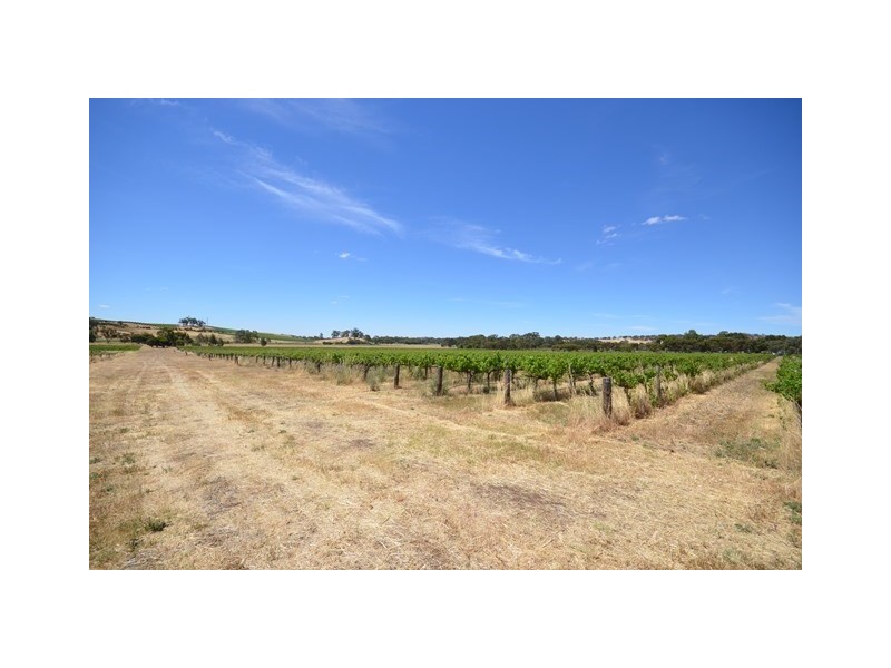 EMERALD Horrocks Highway, Clare SA 5453