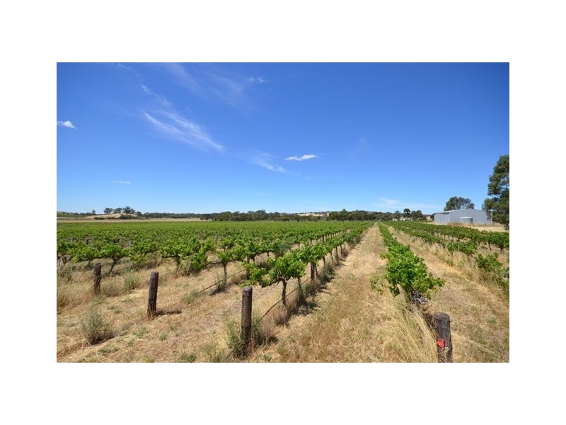 EMERALD Horrocks Highway, Clare SA 5453