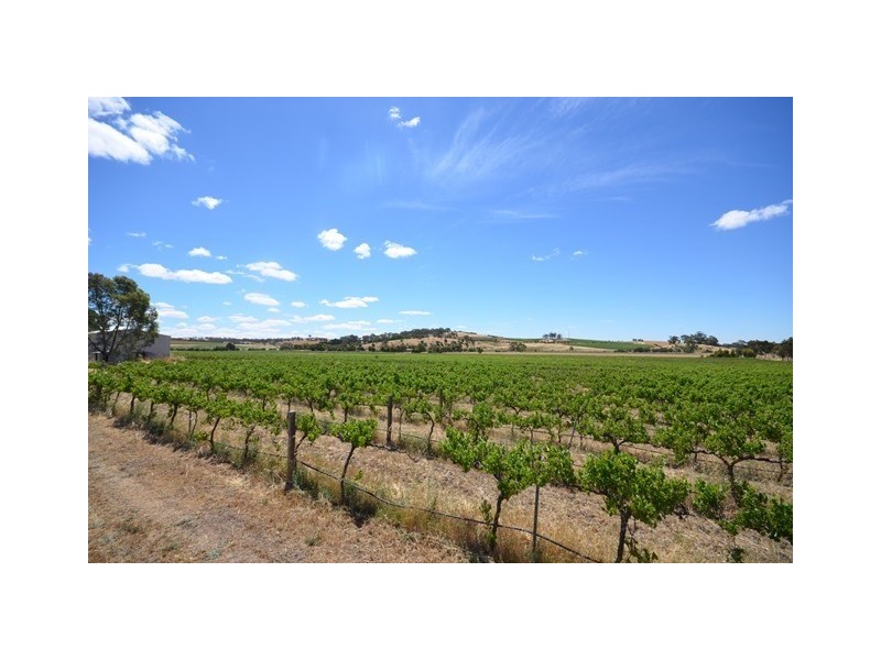 Cardinham Horrocks Highway, Clare SA 5453