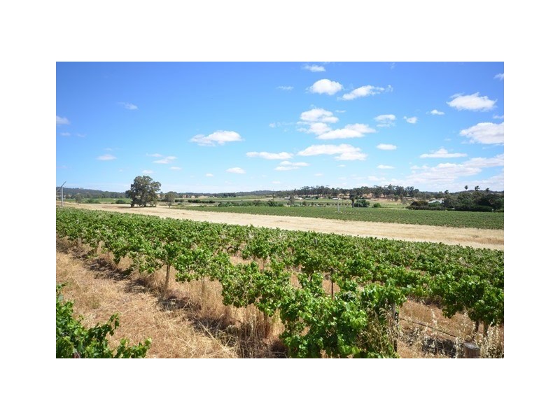 Cardinham Horrocks Highway, Clare SA 5453