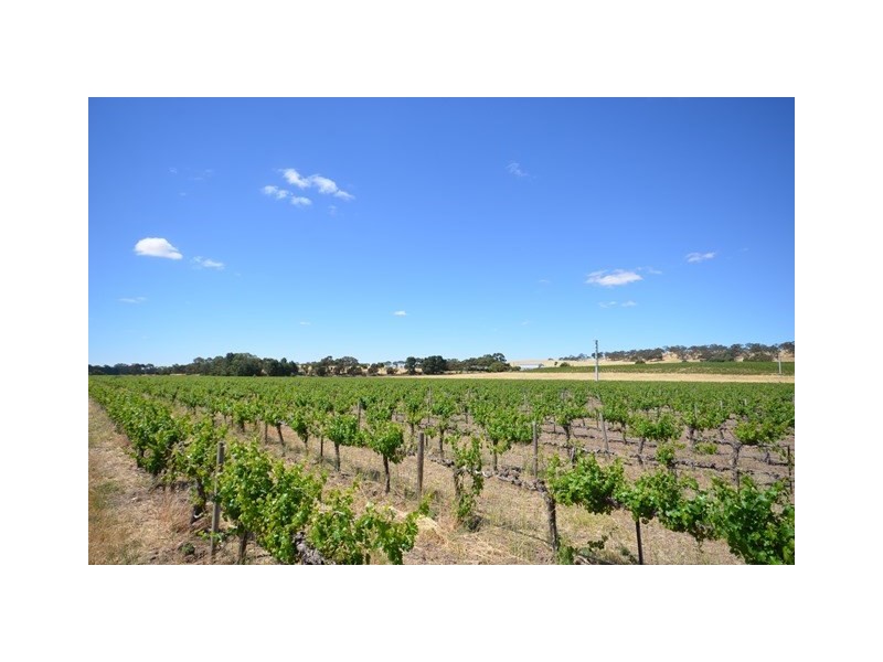 Cardinham Horrocks Highway, Clare SA 5453