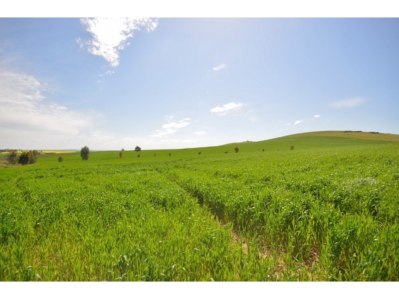 Lot 10 Barinia Road, Clare SA 5453