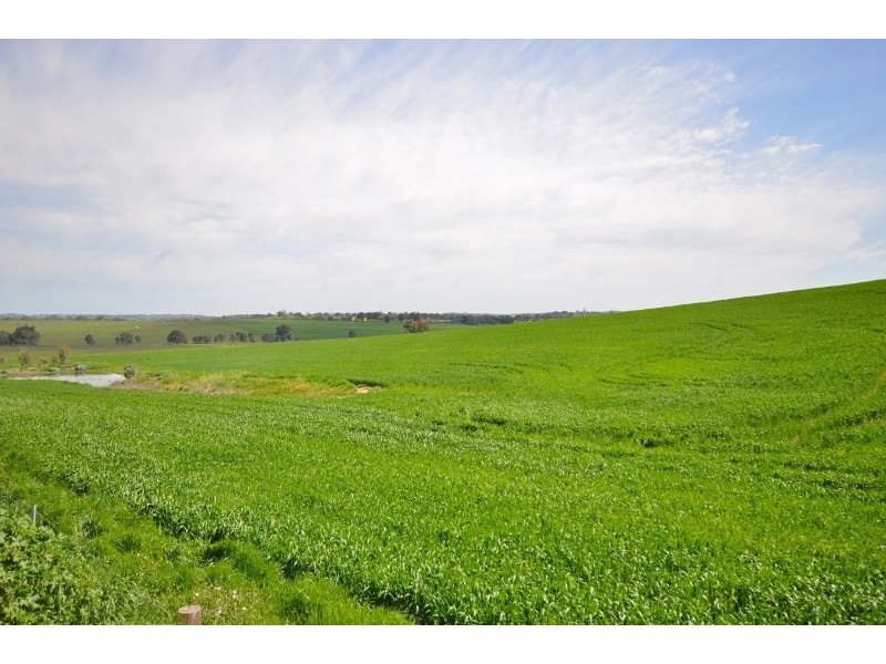 Lot 10 Barinia Road, Clare SA 5453