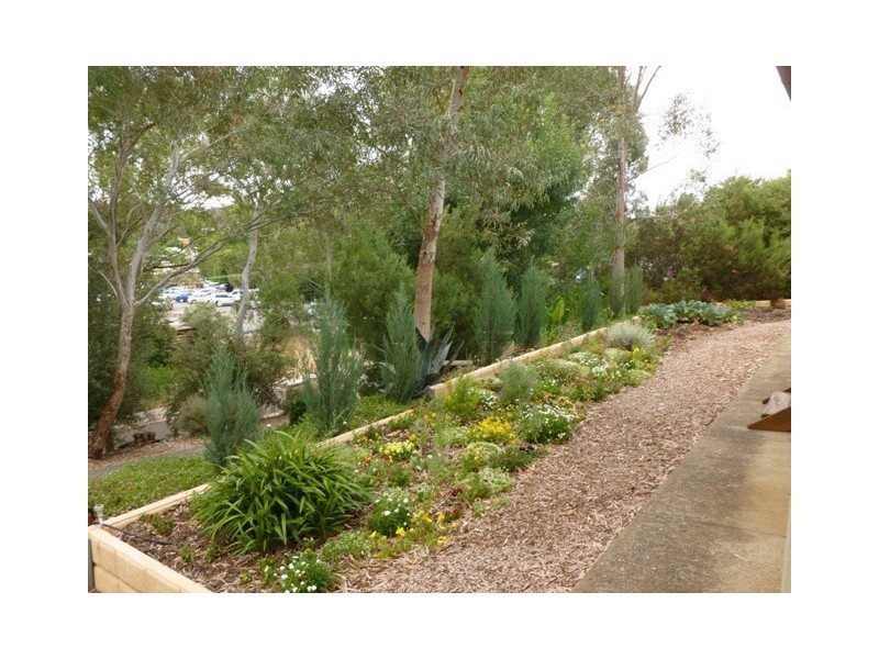 26 Strickland Street, Clare SA 5453