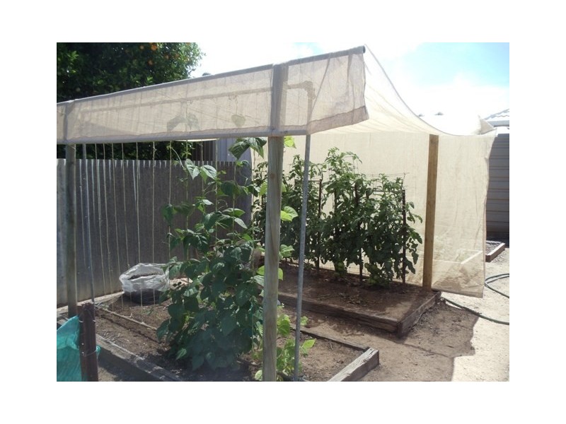 31 Highview Road, Ardrossan SA 5571