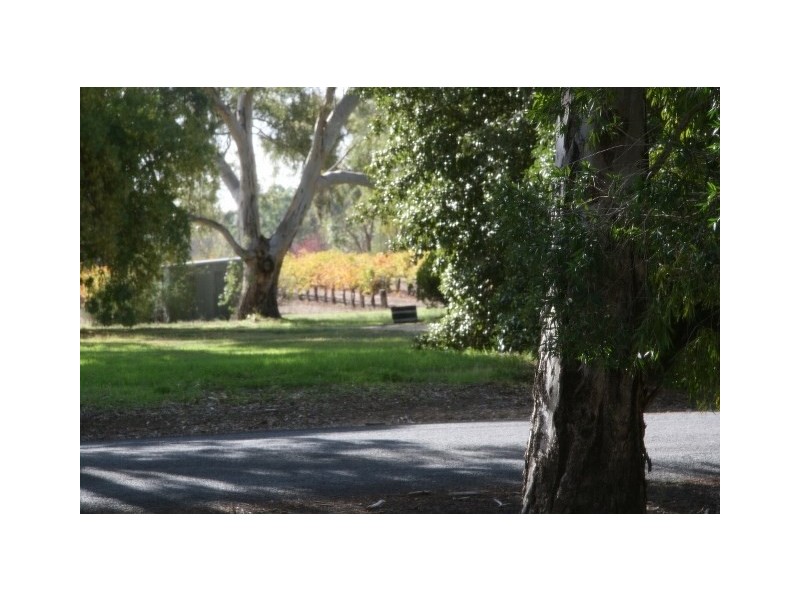 18 Wendouree Road, Clare SA 5453