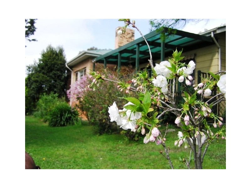 1 Stanley Place, Clare SA 5453